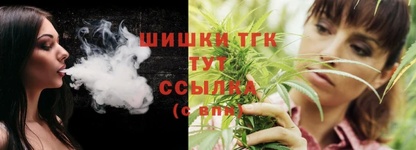 ешки Весьегонск