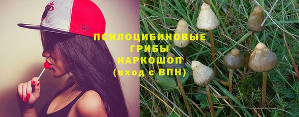 соль ск Абинск