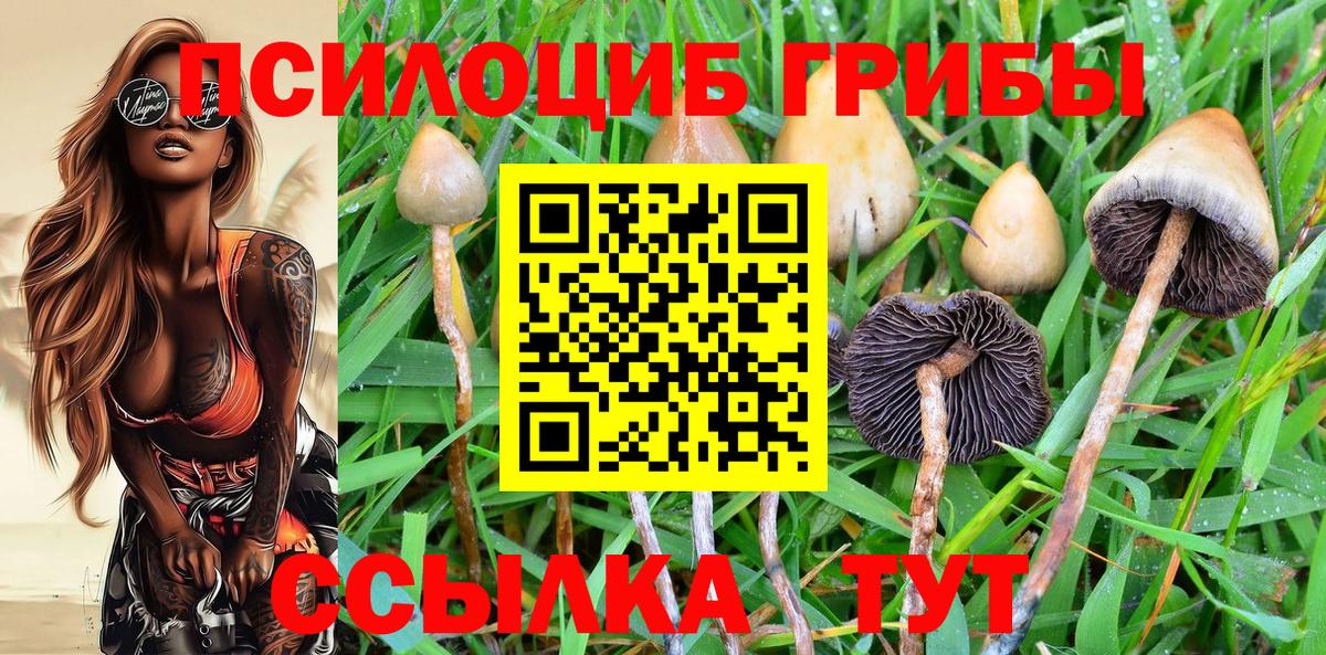 Псилоцибиновые грибы MAGIC MUSHROOMS Красноперекопск