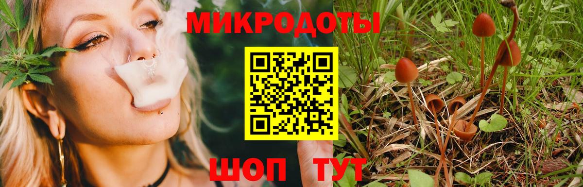 Красноперекопск  Галлюциногенные грибы Cubensis  Вход с VPN 